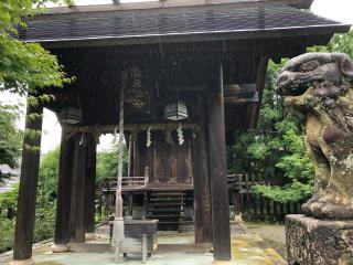 金津神社の参拝記録(てぃほぉしさん)