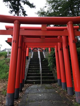 多禰神社の参拝記録(てぃほぉしさん)