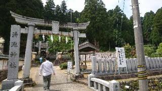 清瀧神社の参拝記録(あひるさん)