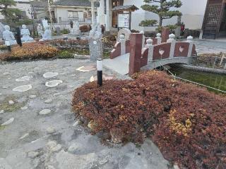 乾坤山 徳蔵寺の参拝記録(優雅さん)