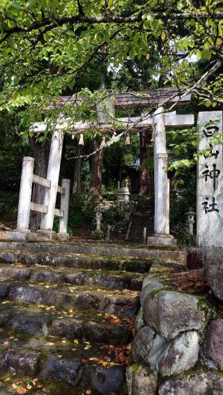 白山神社の参拝記録(金太郎さん)