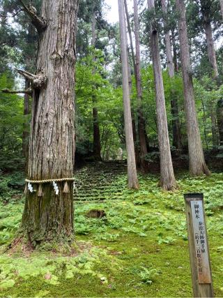 平泉寺白山神社（本社）の参拝記録(なんさん)