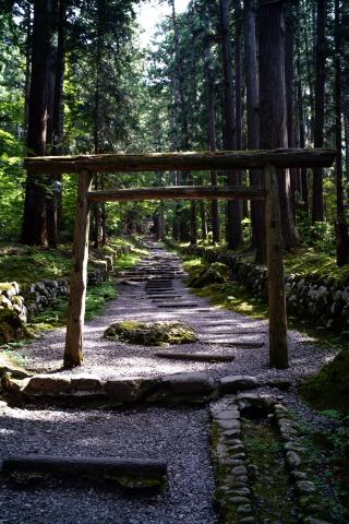 平泉寺白山神社の参拝記録(もちっこさん)