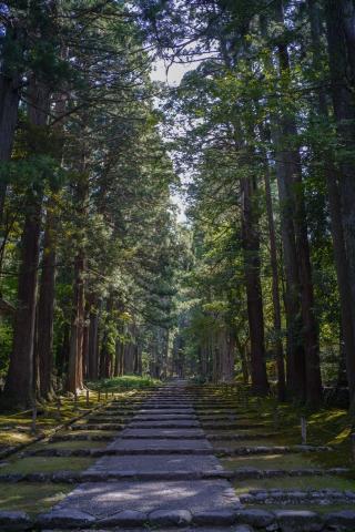 平泉寺白山神社の参拝記録(もちっこさん)