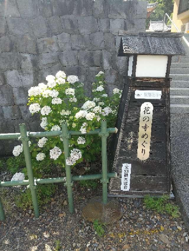 義任山観音院吉祥寺の参拝記録8