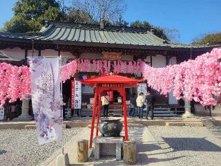 寺岡山 施薬院 薬師寺の参拝記録(まっきーさん)