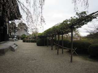 西山 善峯寺 多宝塔の参拝記録6