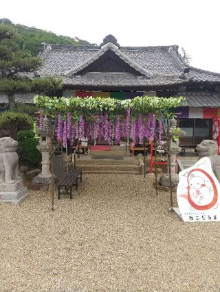 大沼田山 金蓮院 萬福寺の参拝記録(zx14rさん)