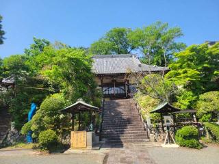 妙隆寺の参拝記録(まっきーさん)