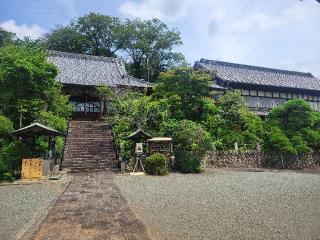 本照山 妙隆寺の参拝記録(まっきーさん)