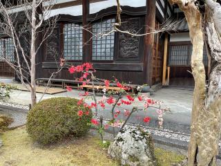 東光山 善徳寺の参拝記録( 真弓さん)