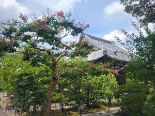 東光山 善徳寺の参拝記録(まっきーさん)