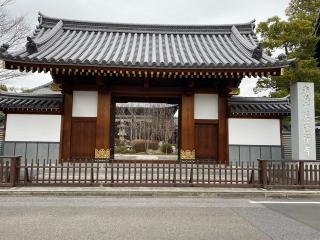 東光山 善徳寺の参拝記録(さくらまんじゅうさん)