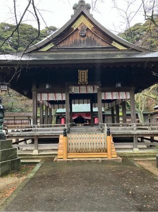 金崎宮の参拝記録(ショーＪさん)