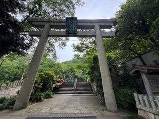 金崎宮の参拝記録(ひくさん)