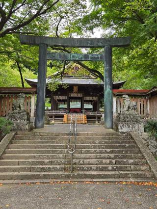金崎宮の参拝記録(あさん)