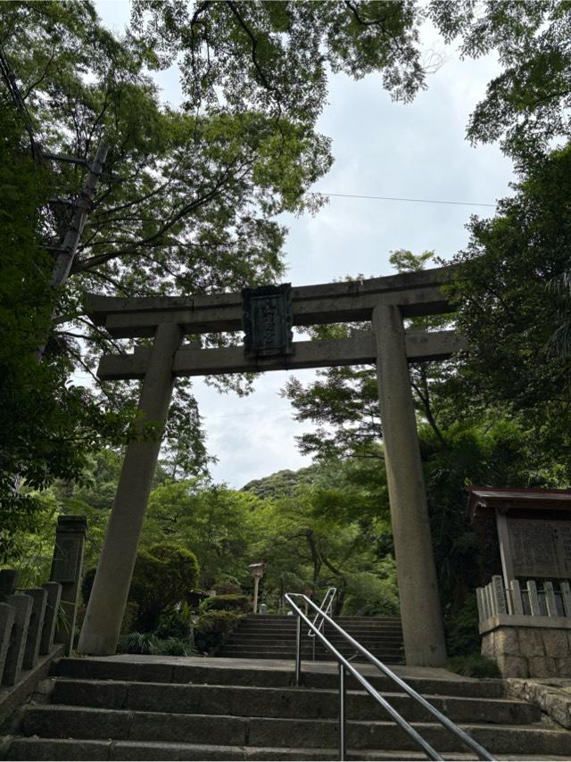 金崎宮の参拝記録9