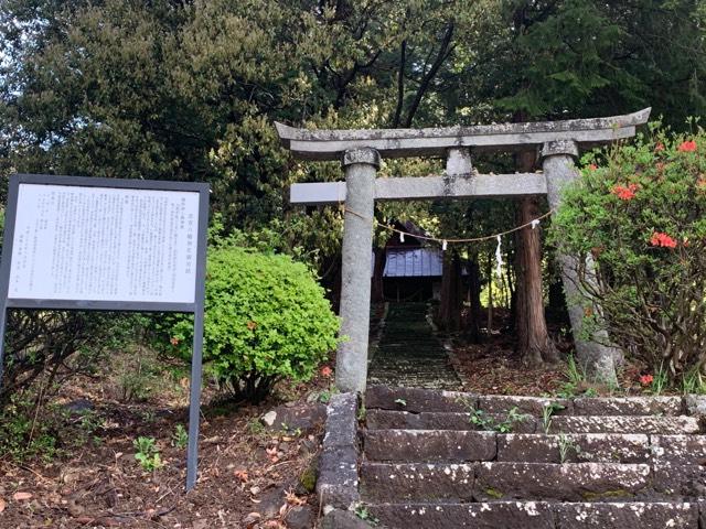 若宮八幡神社の写真1