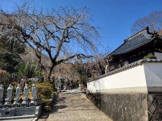 南陽山 清源寺の参拝記録(まっきーさん)