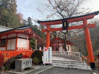 金櫻神社の参拝記録(もそもそ🤗さん)