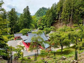 金櫻神社の参拝記録(モーリーさん)