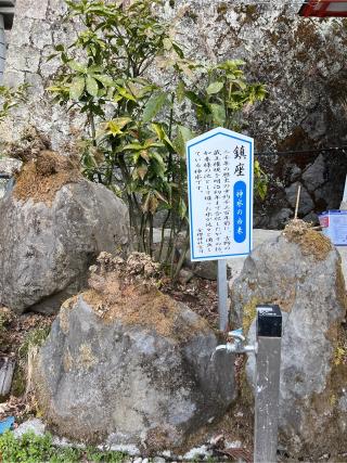 金櫻神社の参拝記録(⛩️🐍🐢まめ🐢🐍⛩️さん)