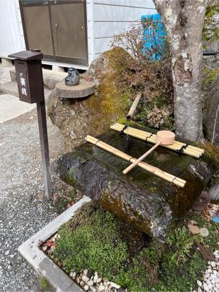 金櫻神社の参拝記録(⛩️🐍🐢まめ🐢🐍⛩️さん)