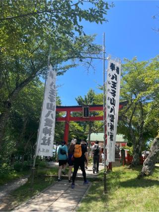 八雲神社の参拝記録(ハボタンはケールさん)
