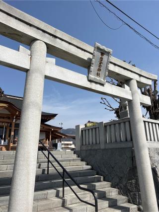 甲斐奈神社の参拝記録(⛩️🐍🐢まめ🐢🐍⛩️さん)