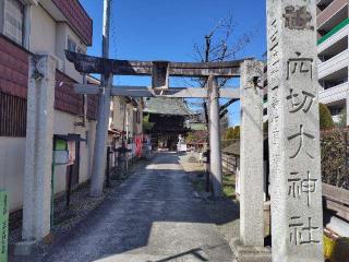 穴切大神社の参拝記録(ロビンさん)
