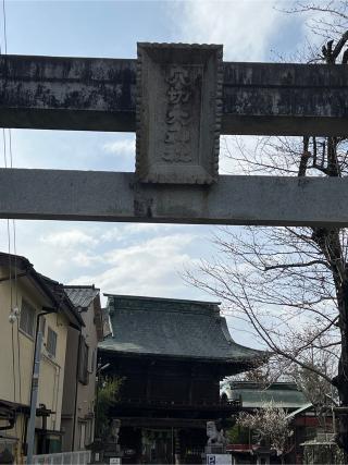 穴切大神社の参拝記録(⛩️🎠🐢まめ🐢🎠⛩️さん)