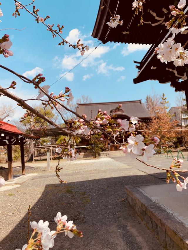 山梨県甲府市美咲2-10-34 御崎神社の写真1