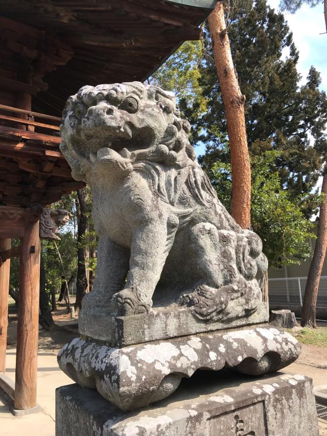 山梨県甲府市住吉1-13-10 甲斐国住吉神社の写真3