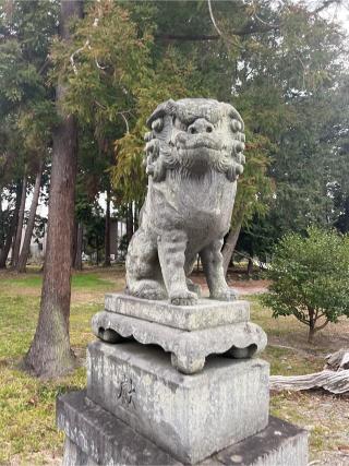 船形神社の参拝記録(⛩️🐍🐢まめ🐢🐍⛩️さん)