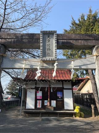 天津司神社の参拝記録(⛩️🐍🐢まめ🐢🐍⛩️さん)