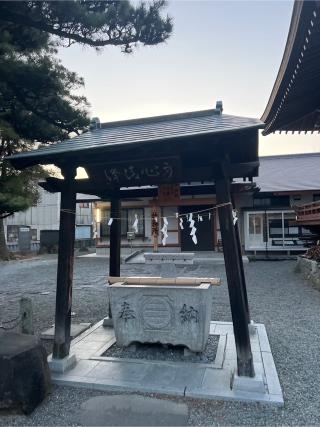 玉諸神社の参拝記録(⛩️🐍🐢まめ🐢🐍⛩️さん)