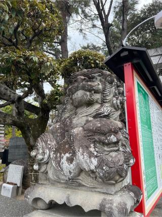 稲積神社の参拝記録(⛩️🐉🐢まめ🐢🐉⛩️さん)