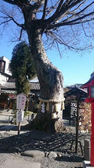 稲積神社の参拝記録(りすたさん)