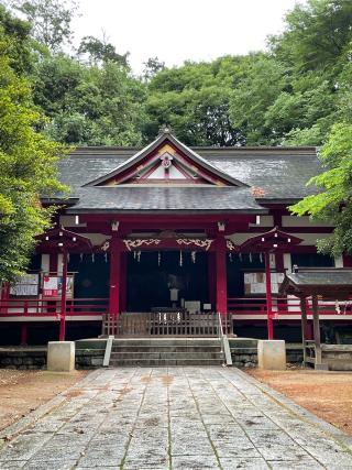 菅田天神社の参拝記録(チップさん)