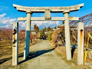 金桜神社の参拝記録(shikigami_hさん)