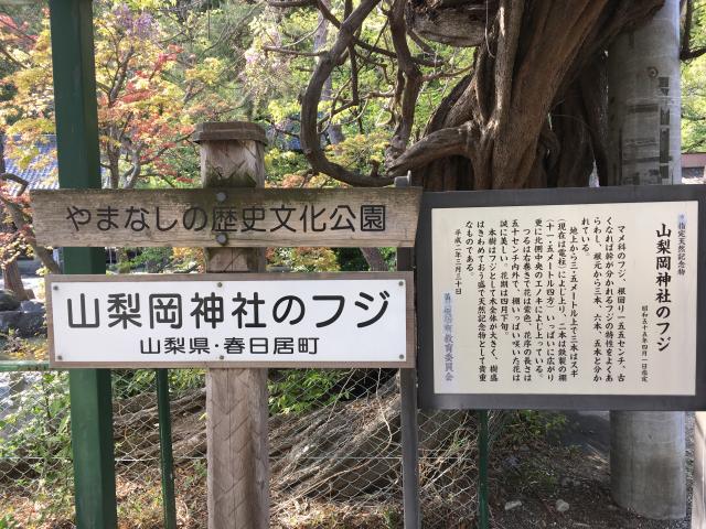 山梨県笛吹市春日居町鎮目1696 山梨岡神社の写真3