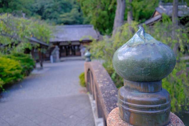 山梨岡神社の参拝記録7