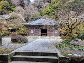 東山 雲巌寺の参拝記録(まっきーさん)