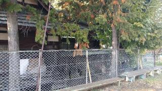 中尾神社の参拝記録(ステイさん)