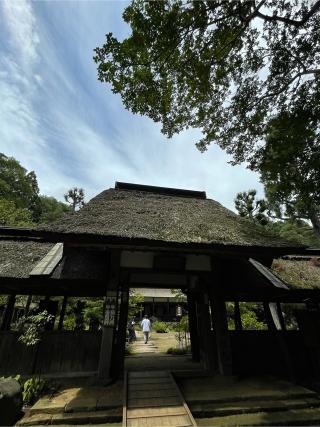 黒羽山 大雄寺の参拝記録(りんごさん)