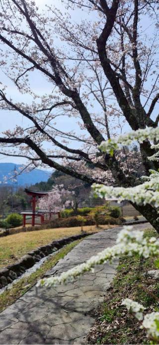 一宮賀茂神社の参拝記録(®️さん)
