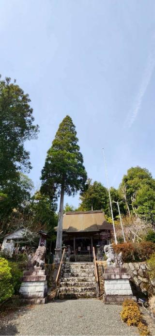 一宮賀茂神社の参拝記録(®️さん)