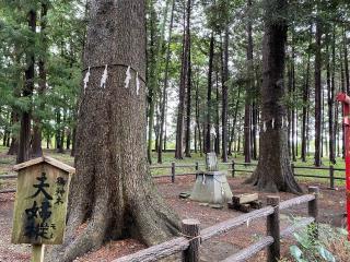 桃園神社の参拝記録(明介さん)