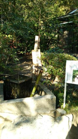 武田社の参拝記録(たら吉さん)