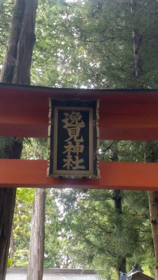 逸見神社の参拝記録(ステイさん)